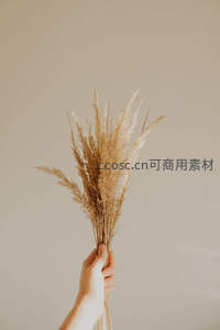 手握干草束，简约自然风
