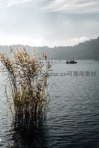 湖畔芦苇丛，小舟远行