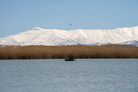 雪山湖泊上的小舟与芦苇