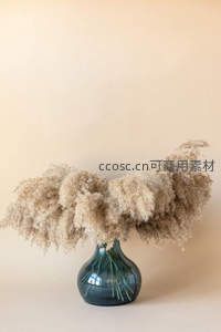 干枯蒲苇瓶中静美