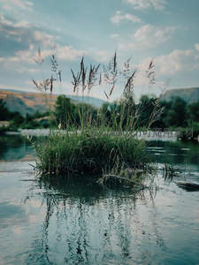 水中孤岛绿意盎然，倒影如画映山河