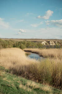 蜿蜒溪流穿行芦苇荡，远山如黛映蓝天