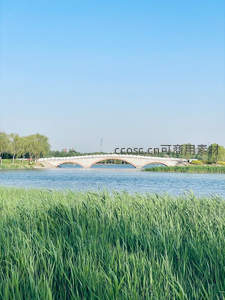 湖畔拱桥与青翠芦苇的宁静风光