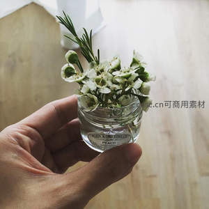 掌心捧着玻璃瓶中的白色小花束