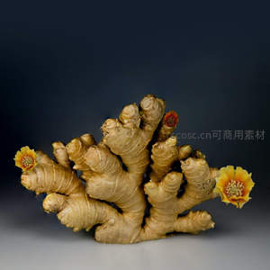 新鲜生姜搭配黄色花朵静置深色背景
