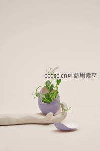 蛋壳盆栽创意，萌芽从蛋中诞生