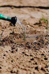 水滴润泽土壤，滋养新生嫩芽