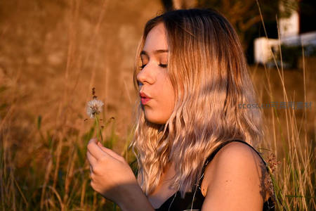 夕阳下少女与蒲公英的静谧时光