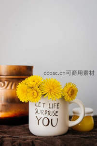 蒲公英花束点缀温馨马克杯