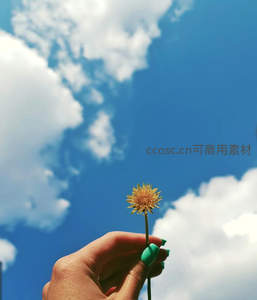 蓝天白云下指尖的蒲公英