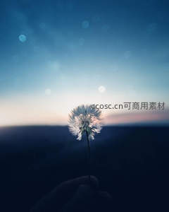 手捧蒲公英迎向暮色天空