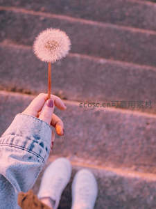 台阶上的少女与蒲公英