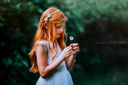 少女凝视蒲公英，温柔瞬间