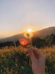 手捧蒲公英迎向落日山峦