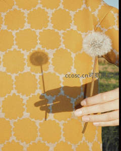 手握蒲公英投射在几何图案布料上