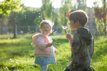 孩童吹散蒲公英，阳光洒满草地