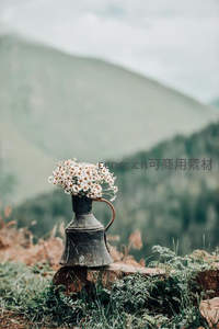 山野花瓶，静谧风景