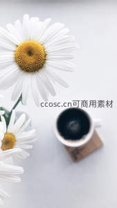 雏菊与咖啡的静谧时光