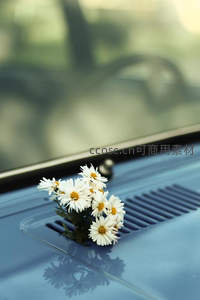 车仪表盘上的雏菊束