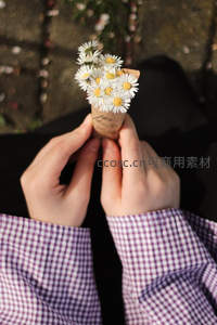 双手捧着雏菊小花束，格子衬衫映衬温柔时光