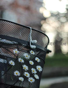 自行车篮中散落雏菊，耳机相伴春日骑行