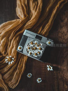 复古相机与雏菊的静谧时光