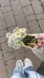 俯拍视角下的雏菊与街砖小径