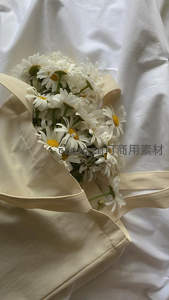 奶油色帆布包中的雏菊静卧白床单