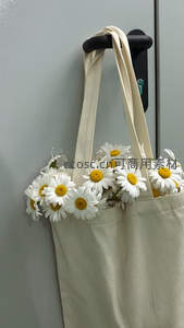 帆布袋中的雏菊，清新自然的日常点缀