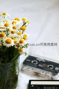 雏菊与磁带静物组合