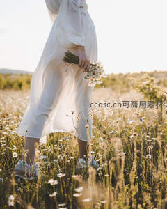 白衣女子漫步雏菊花田，手捧花束沐浴金色夕阳