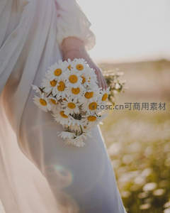 阳光穿透薄纱，女子怀抱雏菊束，光影斑驳温柔