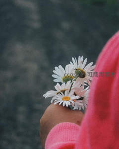 手捧雏菊，粉色衣袖衬托出花朵的温柔与浪漫