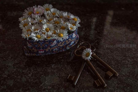 心形盒装雏菊与三把古钥
