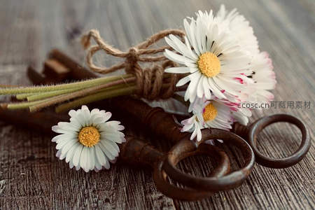 麻绳捆绑的雏菊与古铜钥匙