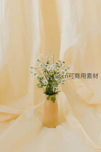 淡黄布景中雏菊静置花瓶，简约美学享受