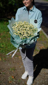 少女捧雏菊花束，笑容甜美