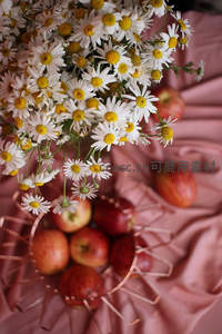 粉色布景上的雏菊与苹果静物组合