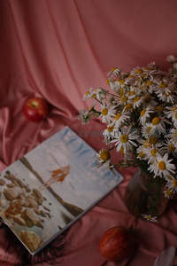 书本旁的雏菊与苹果，文艺静谧时光