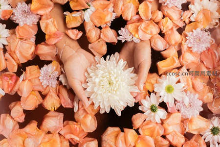 双手轻托白菊，花瓣如海温柔环绕