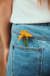 牛仔裤后袋插着几朵蒲公英