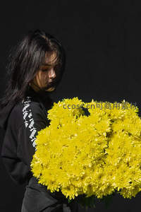 黑衣少女怀抱金黄菊花，光影交织