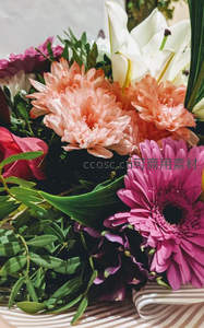 缤纷花束特写，色彩绚烂夺目