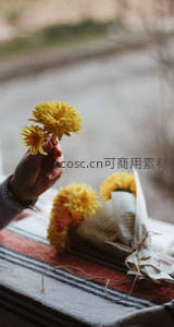 指尖轻触：黄菊与书卷的温柔邂逅