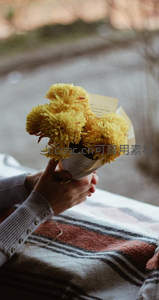 手捧花束：黄菊在掌心绽放温柔