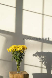 窗影下的黄菊静谧时光