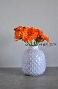 橙色金盏花置于菱格白瓷花瓶中