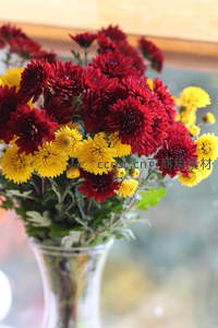 红黄菊花盛放于透明玻璃花瓶内