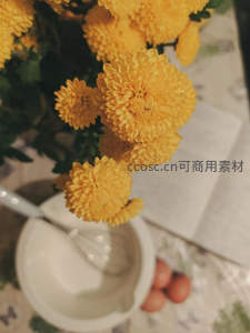 金黄菊花旁置搅拌碗与鸡蛋