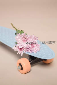 粉色菊花点缀蓝色滑板之上